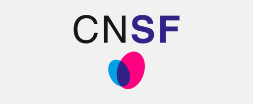 CNSF- Quizz Activité physique et santé maternelle